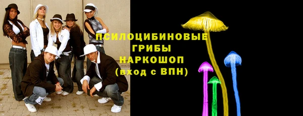 сатива Михайловка