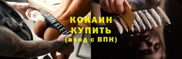сатива Михайловка