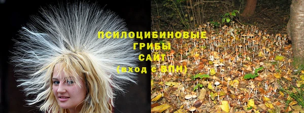 мяу мяу кристалл Михайлов