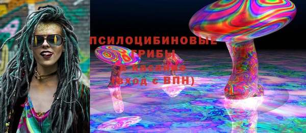 сатива Михайловка