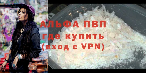 сатива Михайловка