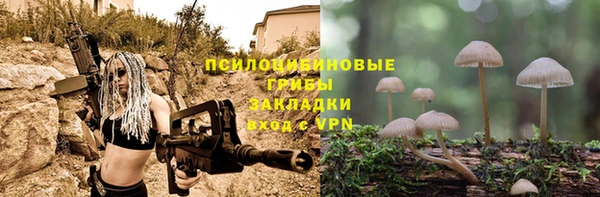 герыч Медногорск