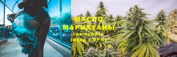 сатива Михайловка