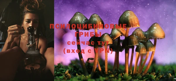 МДПВ Михайловск
